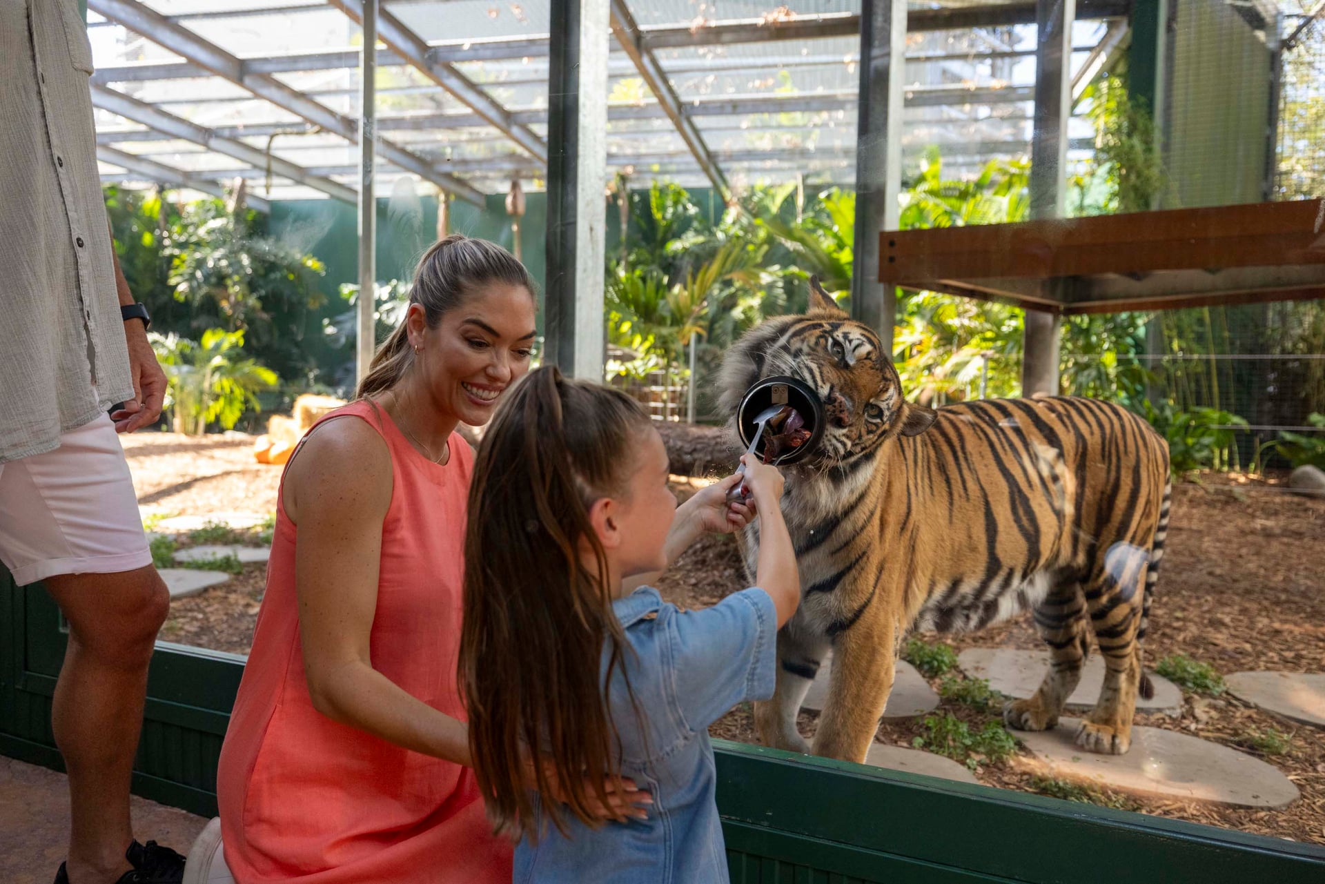 tiger feed experience